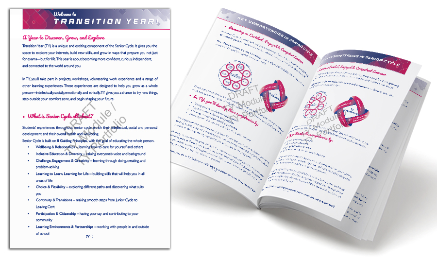  Linking to Transition Year Module